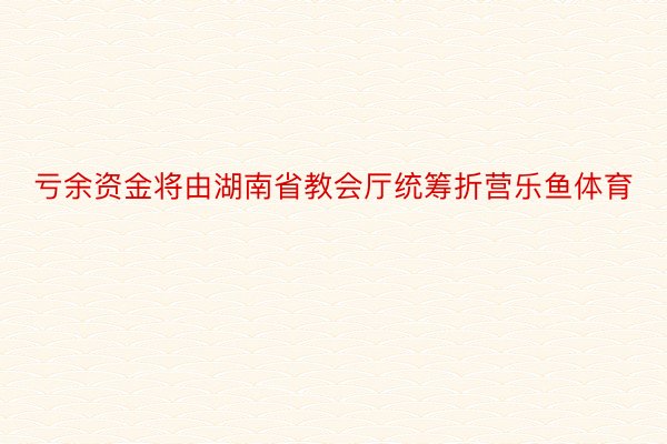 亏余资金将由湖南省教会厅统筹折营乐鱼体育